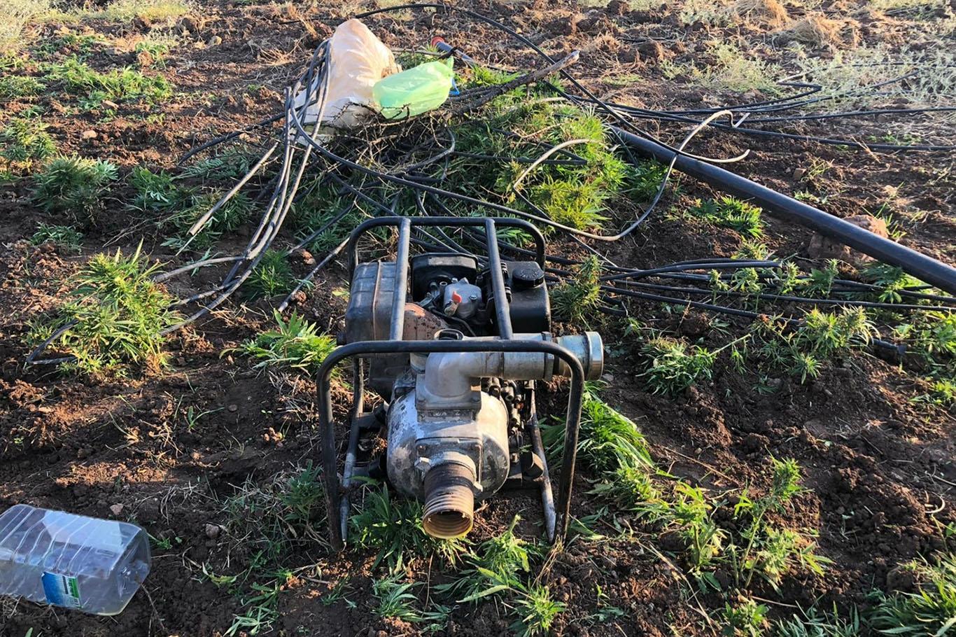 PKK’ye yönelik operasyonda 5 ton esrar ele geçirildi PKK’ye yönelik operasyonda 5 ton esrar ele geçirildi